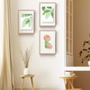 image:imageGolden State Art 16x20 Floating Picture Frame Aluminum Tempered Clear Glass Displays Any Size Photo Up to 16 x 20 for Home or Gallery Decoration Rose Gold 3 PackRose Gold
