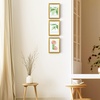 image:imageGolden State Art 16x20 Floating Picture Frame Aluminum Tempered Clear Glass Displays Any Size Photo Up to 16 x 20 for Home or Gallery Decoration Rose Gold 3 PackBronze