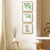 image:imageGolden State Art 16x20 Floating Picture Frame Aluminum Tempered Clear Glass Displays Any Size Photo Up to 16 x 20 for Home or Gallery Decoration Rose Gold 3 PackBronze