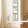 image:imageGolden State Art 16x20 Floating Picture Frame Aluminum Tempered Clear Glass Displays Any Size Photo Up to 16 x 20 for Home or Gallery Decoration Rose Gold 3 PackBlack
