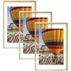 image:imageGolden State Art 16x20 Floating Picture Frame Aluminum Tempered Clear Glass Displays Any Size Photo Up to 16 x 20 for Home or Gallery Decoration Rose Gold 3 PackGold