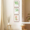 image:imageGolden State Art 16x20 Floating Picture Frame Aluminum Tempered Clear Glass Displays Any Size Photo Up to 16 x 20 for Home or Gallery Decoration Rose Gold 3 PackRose Gold