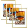 image:imageGolden State Art 16x20 Floating Picture Frame Aluminum Tempered Clear Glass Displays Any Size Photo Up to 16 x 20 for Home or Gallery Decoration Rose Gold 3 PackGold