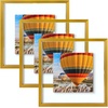 image:imageGolden State Art 16x20 Floating Picture Frame Aluminum Tempered Clear Glass Displays Any Size Photo Up to 16 x 20 for Home or Gallery Decoration Rose Gold 3 PackBronze