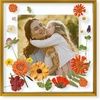 image:imageGolden State Art 8x10 Floating Frame Silver Aluminum Picture Frame Clear Glass Displays Any Size Photo Up to 8x10 Home Gallery Wall Decoration Display Horizontal and VerticalBronze