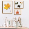 image:imageGolden State Art Aluminum Gallery Wall Frame Set of 7  Includes One 11x14 Two 8x10 and Four 5x7  Metal Frames with Mat amp Real Glass Cover for Elegant Home or Office Decor Style 2 GoldBronze