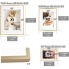 image:imageGolden State Art Aluminum Gallery Wall Frame Set of 7  Includes One 11x14 Two 8x10 and Four 5x7  Metal Frames with Mat amp Real Glass Cover for Elegant Home or Office Decor Style 2 GoldGold