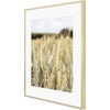 image:imageGolden State Art Gallery Wall Frame Set of 6  Black 11x14 Aluminum Photo Frames with Mat for 8x10 Pictures  11 x 14 inch Metal Frame with Real Glass Cover  Elegant Home or Office DecorGold
