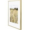image:imageGolden State Art Gallery Wall Frame Set of 6  Black 11x14 Aluminum Photo Frames with Mat for 8x10 Pictures  11 x 14 inch Metal Frame with Real Glass Cover  Elegant Home or Office DecorGold