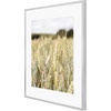 image:imageGolden State Art Gallery Wall Frame Set of 6  Black 11x14 Aluminum Photo Frames with Mat for 8x10 Pictures  11 x 14 inch Metal Frame with Real Glass Cover  Elegant Home or Office DecorSilver