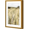 image:imageGolden State Art Gallery Wall Frame Set of 6  Black 11x14 Aluminum Photo Frames with Mat for 8x10 Pictures  11 x 14 inch Metal Frame with Real Glass Cover  Elegant Home or Office DecorBronze