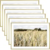 image:imageGolden State Art Gallery Wall Frame Set of 6  Black 11x14 Aluminum Photo Frames with Mat for 8x10 Pictures  11 x 14 inch Metal Frame with Real Glass Cover  Elegant Home or Office DecorGold