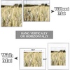 image:imageGolden State Art Gallery Wall Frame Set of 6  Black 11x14 Aluminum Photo Frames with Mat for 8x10 Pictures  11 x 14 inch Metal Frame with Real Glass Cover  Elegant Home or Office DecorSilver