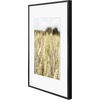 image:imageGolden State Art Gallery Wall Frame Set of 6  Black 11x14 Aluminum Photo Frames with Mat for 8x10 Pictures  11 x 14 inch Metal Frame with Real Glass Cover  Elegant Home or Office DecorBlack