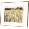 image:imageGolden State Art Gallery Wall Frame Set of 6  Black 11x14 Aluminum Photo Frames with Mat for 8x10 Pictures  11 x 14 inch Metal Frame with Real Glass Cover  Elegant Home or Office DecorGold