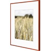 image:imageGolden State Art Gallery Wall Frame Set of 6  Black 11x14 Aluminum Photo Frames with Mat for 8x10 Pictures  11 x 14 inch Metal Frame with Real Glass Cover  Elegant Home or Office DecorRed