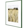 image:imageGolden State Art Gallery Wall Frame Set of 6  Black 11x14 Aluminum Photo Frames with Mat for 8x10 Pictures  11 x 14 inch Metal Frame with Real Glass Cover  Elegant Home or Office DecorGreen