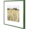 image:imageGolden State Art Gallery Wall Frame Set of 6  Black 11x14 Aluminum Photo Frames with Mat for 8x10 Pictures  11 x 14 inch Metal Frame with Real Glass Cover  Elegant Home or Office DecorGreen