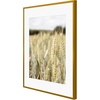 image:imageGolden State Art Gallery Wall Frame Set of 6  Black 11x14 Aluminum Photo Frames with Mat for 8x10 Pictures  11 x 14 inch Metal Frame with Real Glass Cover  Elegant Home or Office DecorBronze