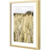 image:imageGolden State Art Gallery Wall Frame Set of 6  Black 11x14 Aluminum Photo Frames with Mat for 8x10 Pictures  11 x 14 inch Metal Frame with Real Glass Cover  Elegant Home or Office DecorGold