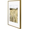 image:imageGolden State Art Gallery Wall Frame Set of 6  Black 11x14 Aluminum Photo Frames with Mat for 8x10 Pictures  11 x 14 inch Metal Frame with Real Glass Cover  Elegant Home or Office DecorBronze