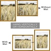 image:imageGolden State Art Gallery Wall Frame Set of 6  Black 11x14 Aluminum Photo Frames with Mat for 8x10 Pictures  11 x 14 inch Metal Frame with Real Glass Cover  Elegant Home or Office DecorBronze