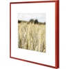 image:imageGolden State Art Gallery Wall Frame Set of 6  Black 11x14 Aluminum Photo Frames with Mat for 8x10 Pictures  11 x 14 inch Metal Frame with Real Glass Cover  Elegant Home or Office DecorRed
