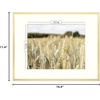image:imageGolden State Art Gallery Wall Frame Set of 6  Black 11x14 Aluminum Photo Frames with Mat for 8x10 Pictures  11 x 14 inch Metal Frame with Real Glass Cover  Elegant Home or Office DecorGold