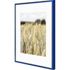 image:imageGolden State Art Gallery Wall Frame Set of 6  Black 11x14 Aluminum Photo Frames with Mat for 8x10 Pictures  11 x 14 inch Metal Frame with Real Glass Cover  Elegant Home or Office DecorBlue