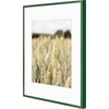 image:imageGolden State Art Gallery Wall Frame Set of 6  Black 11x14 Aluminum Photo Frames with Mat for 8x10 Pictures  11 x 14 inch Metal Frame with Real Glass Cover  Elegant Home or Office DecorGreen