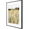 image:imageGolden State Art Gallery Wall Frame Set of 6  Black 11x14 Aluminum Photo Frames with Mat for 8x10 Pictures  11 x 14 inch Metal Frame with Real Glass Cover  Elegant Home or Office DecorBlack