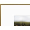 image:imageGolden State Art Gallery Wall Frame Set of 6  Black 11x14 Aluminum Photo Frames with Mat for 8x10 Pictures  11 x 14 inch Metal Frame with Real Glass Cover  Elegant Home or Office DecorGold