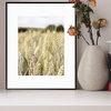 image:imageGolden State Art Gallery Wall Frame Set of 6  Black 11x14 Aluminum Photo Frames with Mat for 8x10 Pictures  11 x 14 inch Metal Frame with Real Glass Cover  Elegant Home or Office DecorBlack