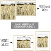 image:imageGolden State Art Gallery Wall Frame Set of 6  Black 11x14 Aluminum Photo Frames with Mat for 8x10 Pictures  11 x 14 inch Metal Frame with Real Glass Cover  Elegant Home or Office DecorGold