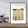 image:imageGolden State Art Gallery Wall Frame Set of 6  Black 11x14 Aluminum Photo Frames with Mat for 8x10 Pictures  11 x 14 inch Metal Frame with Real Glass Cover  Elegant Home or Office DecorBlack