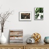 image:imageGolden State Art Gold 5x7 Aluminum Picture Frame  Display Photos 4x6 with Mat or 5x7 inch Without Mat  ShatterResistant Glass Metal Photo Frame for Wall or Tabletop Display 2 PackSilver