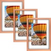 image:imageGolden State Art 16x20 Floating Picture Frame Aluminum Tempered Clear Glass Displays Any Size Photo Up to 16 x 20 for Home or Gallery Decoration Rose Gold 3 PackRose Gold
