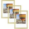 image:imageGolden State Art 16x20 Floating Picture Frame Aluminum Tempered Clear Glass Displays Any Size Photo Up to 16 x 20 for Home or Gallery Decoration Rose Gold 3 PackGold