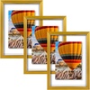 image:imageGolden State Art 16x20 Floating Picture Frame Aluminum Tempered Clear Glass Displays Any Size Photo Up to 16 x 20 for Home or Gallery Decoration Rose Gold 3 PackBronze