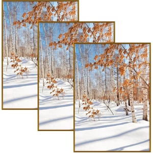 image:imageGolden State Art 11x14 Picture Frame 3 Pack  Aluminum Frames with 8x10 Removable Mats amp Real Glass Display 11x14 Posters or 8x10 Photos  Gold Gallery Wall Frames for Home Office DecorBronze