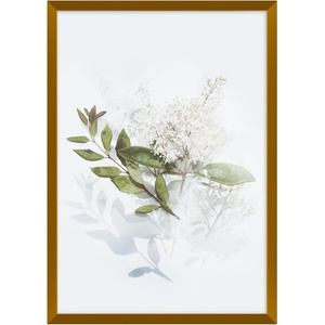 image:imageGolden State Art A4 Aluminum Picture Frame Black Metal Thin Poster Frames for 83x117 inch Photo Acrylic Front Wall Hook for Horizontal or Vertical Display 1 PackBronze