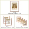 image:imageFrametory Floating Picture Frames Set  Bronze Metal Photo Frames  Real Glass  Display One 11x14 Two 8x10 and Four 5x7 Inch Photos for Home DecorationRose Gold