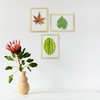 image:imageGolden State Art 11x14 Floating Picture Frame Aluminum Tempered Clear Glass Displays Any Size Photo Up to 11 x 14 for Home or Gallery Decoration Gold 12 PackGold