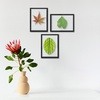 image:imageGolden State Art 11x14 Floating Picture Frame Aluminum Tempered Clear Glass Displays Any Size Photo Up to 11 x 14 for Home or Gallery Decoration Gold 12 PackBlack