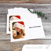 image:imageGolden State Art Pack of 100 4x6 or 5x7 Photo Folders Cardboard Picture Frame Paper Frame Cards GreetingsInvitation Special Events Graduation Christmas WeddingWhitePack of 25