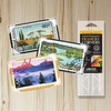 image:imageLineco Archival Polypropylene Photo Corners 05 Inches 240 PCS  AcidFree Pressure Sensitive Mounting for Pictures Scrapbook and Artwork1375 Pack of 1