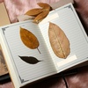 image:imageLineco SeeThrough Archival Polyester Mounting Strips 12 Inch 60 PCS  AcidFree Hingeless Mounting Artwork to Mats Sturdy for Framing Prints Documents Photos Paper and More12 60 EA