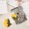 image:imageLineco SelfAdhesive Photo Corners 05 Inch Black 252 PCS  Archival Quality AcidFree Pressure Sensitive Useful for Scrapbooking Mounting on Mat Boards DIYIvory