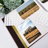 image:imageLineco SelfAdhesive Photo Corners 05 Inch Black 252 PCS  Archival Quality AcidFree Pressure Sensitive Useful for Scrapbooking Mounting on Mat Boards DIYIvory