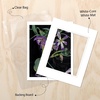image:imageGolden State Art 10 Pack Double Mats 11x14 for 8x10 PhotoBakcingsBags  White Over Black Double Picture Mats with White Core Bevel Cut 75x95 Opening for 8x10 PicturesWhite Over White